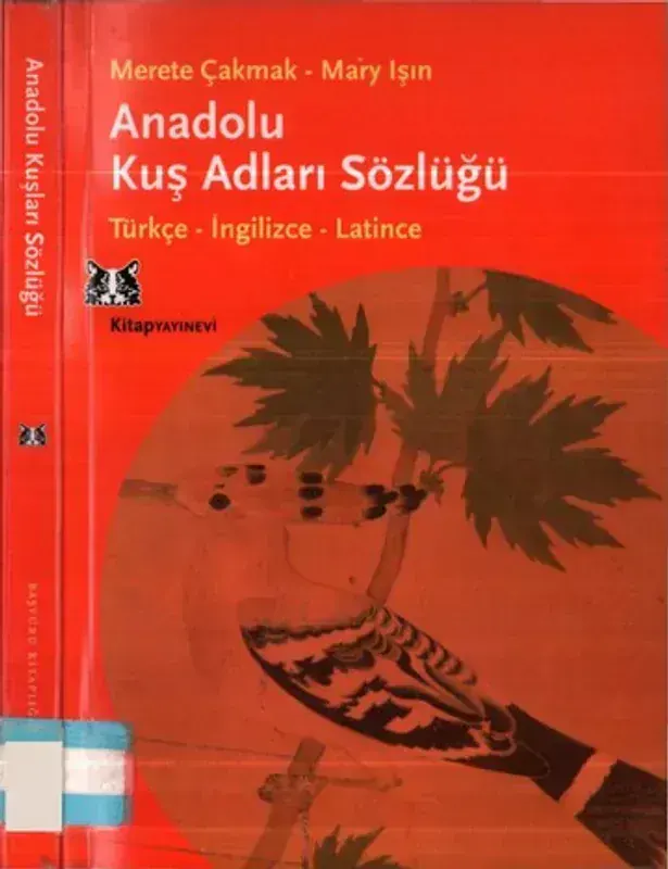 Anadolu Mutfağı (Mary Işın)